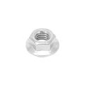 HEX FLANGED NUT - M6 x 1,00 Steel (10 IN BAG). -SELECTION P2R